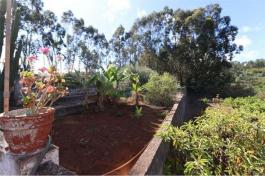 Commercial Property