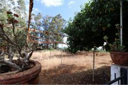 Commercial Property