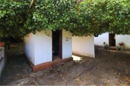 Commercial Property