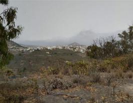 Terrenos