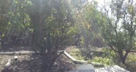 Piece of land