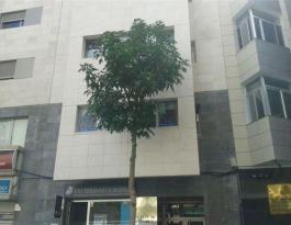 Oficina