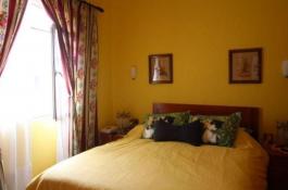 Semi detached house