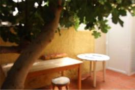 Semi detached house