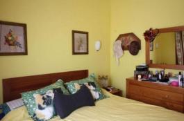 Semi detached house