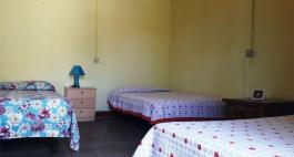 Commercial Property