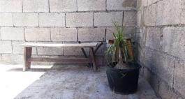 Commercial Property