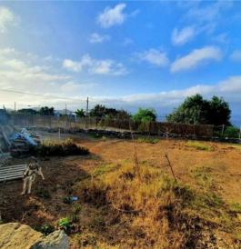 Commercial Property