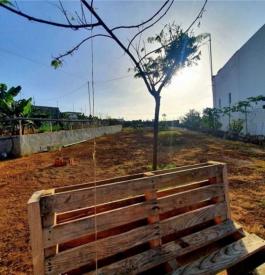 Commercial Property