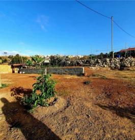 Commercial Property