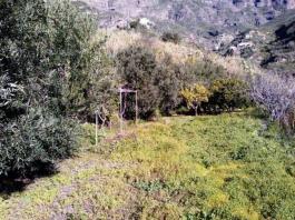 Piece of land