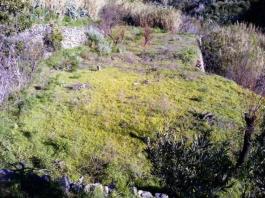 Piece of land