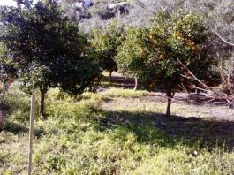 Piece of land
