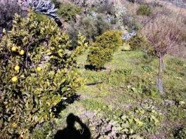 Piece of land