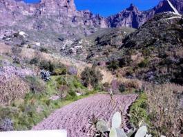 Piece of land