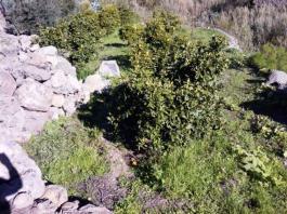 Piece of land