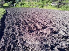 Piece of land