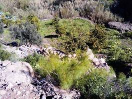 Piece of land