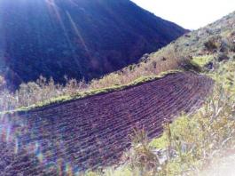 Piece of land