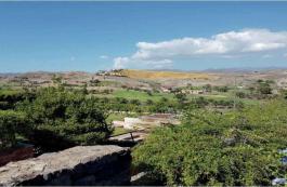 Chalet pareado